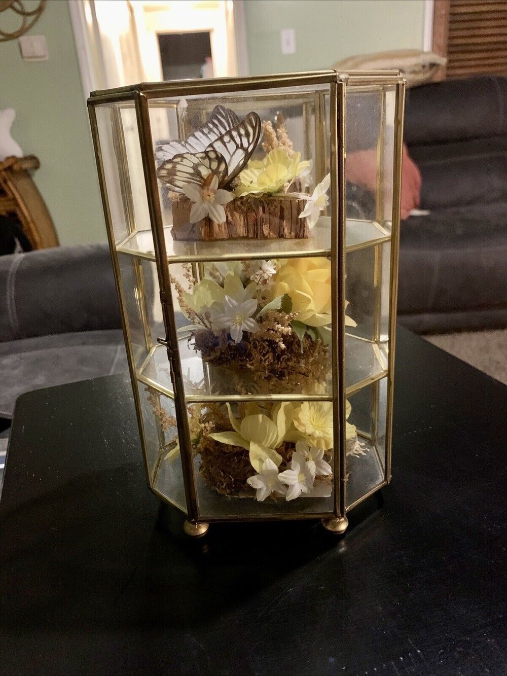 Vintage Butterfly Taxidermy Floral In Brass And Glass Curio Cabinet 8 1/4”x5”x4”